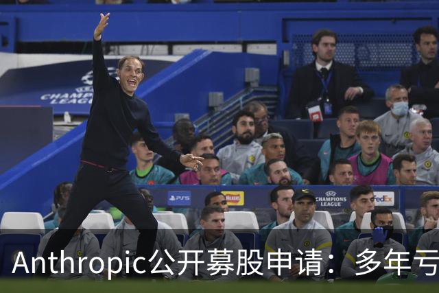 Anthropic公开募股申请：多年亏损与巨额收入，AI风险被重视